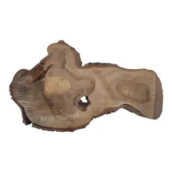 Plaster Orzecha Włoskiego 59x35x4cm
