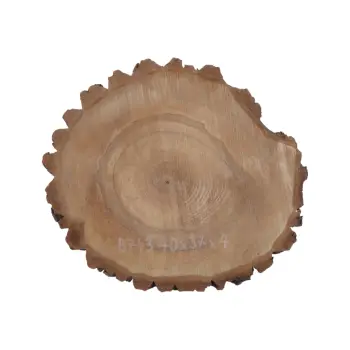 Plaster Orzecha Włoskiego 40x37x4cm