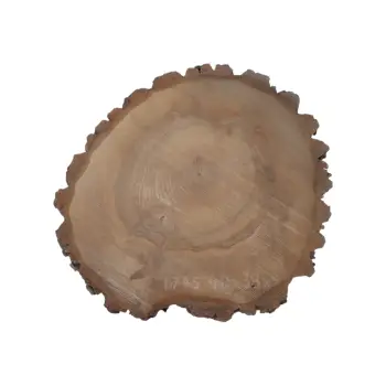 Plaster Orzecha Włoskiego 40x38x4cm