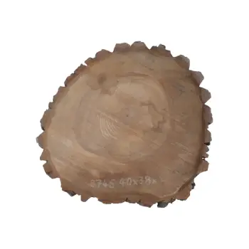 Plaster Orzecha Włoskiego 40x38x4cm