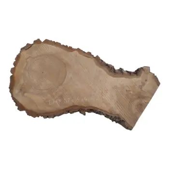 Plaster Orzecha Włoskiego 67x34x4cm