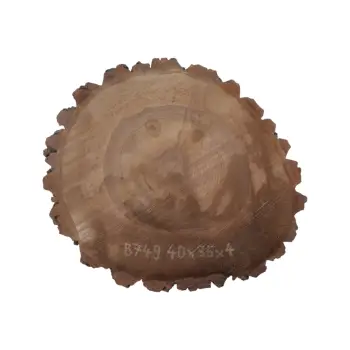 Plaster Orzecha Włoskiego 40x35x4cm