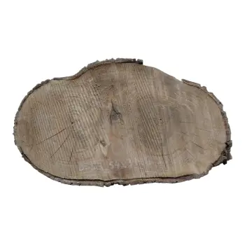 Plaster Orzecha Włoskiego 54x31x6cm