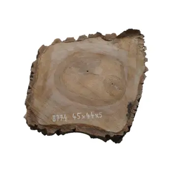 Plaster Orzecha Włoskiego 45x44x5cm