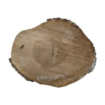 Plaster Orzecha Włoskiego 43x37x5cm