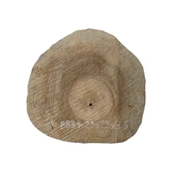 Plaster Orzecha Włoskiego 29x29x3,5cm