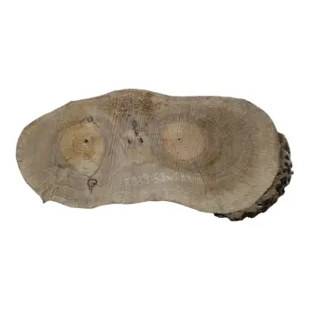 Plaster Orzecha Włoskiego 53x24x7cm