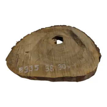 Plaster Orzecha Włoskiego 38x30x4cm