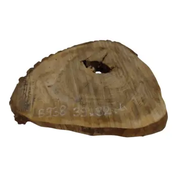 Plaster Orzecha Włoskiego 39x32x4cm