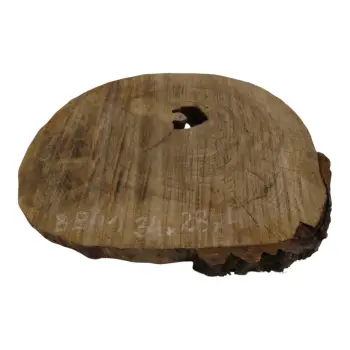 Plaster Orzecha Włoskiego 34x28x4cm