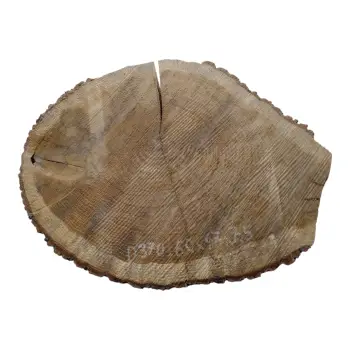 Plaster Dębowy 60x47x7,5cm Dąb
