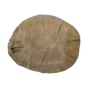 Plaster Dębowy 49x41x5cm Dąb