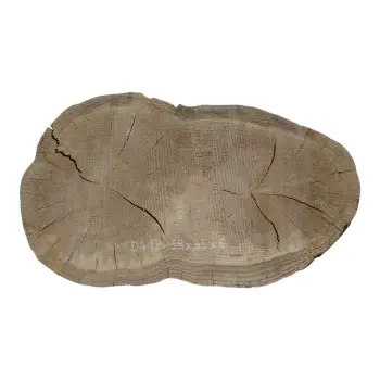 Plaster Dębowy 58x35x6cm Dąb