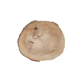 Plaster Wiązu 58x52x6cm