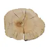 Plaster Jesionowy 97x83x9cm
