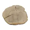 Plaster Jesionowy 97x88x10cm