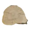 Plaster Jesionowy 81x74x8cm