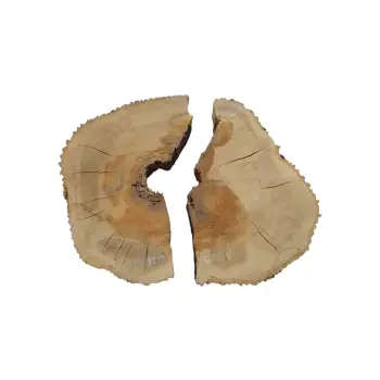 Plaster Jesionowy w Dwóch Kawałkach 97x86x10cm