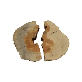 Plaster Jesionowy w Dwóch Kawałkach 105x90x11cm