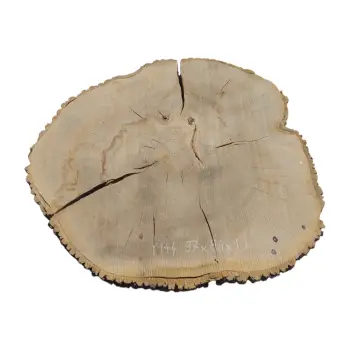 Plaster Jesionowy 97x88x10cm