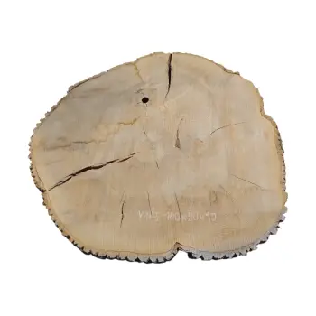 Plaster Jesionowy 100x90x10cm