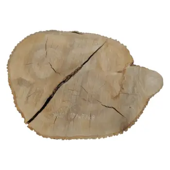 Plaster Jesionowy 107x77x8cm