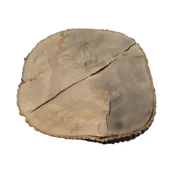 Plaster Jesionowy 88x81x10cm