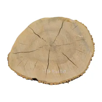 Plaster Jesionowy 83x69x9cm