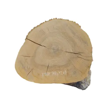 Plaster Jesionowy 78x72x8cm