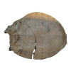 Plaster Dębowy 68x56x7cm Dąb