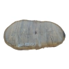Plaster Dębowy 89x45x7cm Dąb