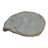 Plaster Dębowy 79x53x8cm Dąb