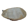 Plaster Dębowy 86x49x9cm Dąb