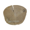 Plaster Dębowy 64x55x7cm Dąb