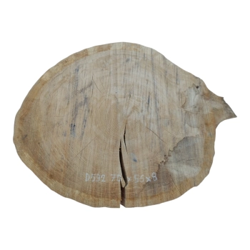 Plaster Dębowy 70x56x8cm Dąb