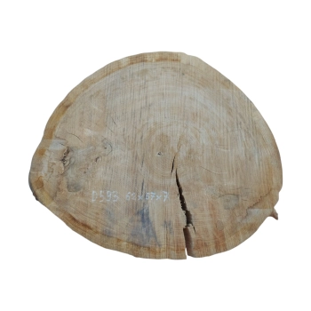 Plaster Dębowy 65x57x7cm Dąb