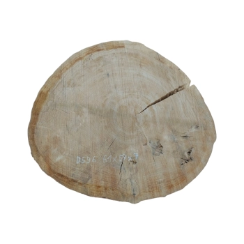Plaster Dębowy 61x57x7cm Dąb