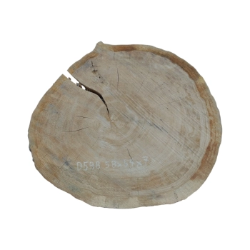 Plaster Dębowy 58x54x7cm Dąb