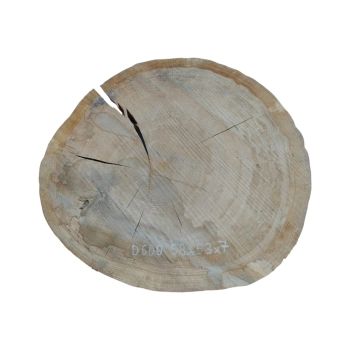 Plaster Dębowy 58x53x7cm Dąb