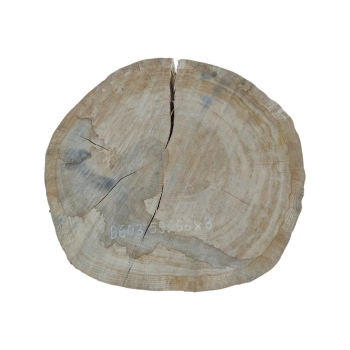 Plaster Dębowy 59x56x8cm Dąb