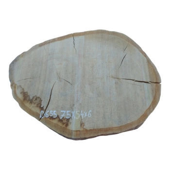 Plaster Dębowy 75x54x6cm Dąb