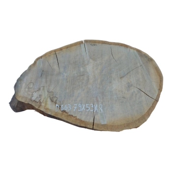 Plaster Dębowy 79x53x8cm Dąb