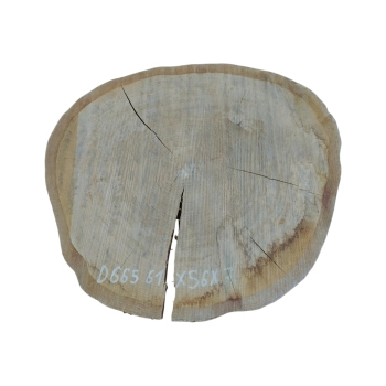 Plaster Dębowy 61x56x7cm Dąb