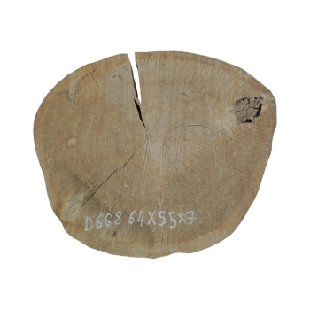 Plaster Dębowy 64x55x7cm Dąb
