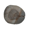 Plaster Orzecha Włoskiego 44x39x4,5cm