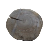 Plaster Orzecha Włoskiego 47x42x5cm