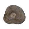Plaster Orzecha Włoskiego 35x31x4cm