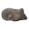 Plaster Orzecha Włoskiego 46x25x4cm