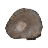 Plaster Orzecha Włoskiego 35x30x5cm