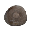 Plaster Orzecha Włoskiego 36x34x4cm